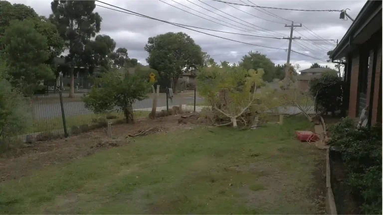 Melbourne Property Preparers before photo of suburban front yard in Melbourne with fallen tree branches and unkempt grass prior to landscaping and property presentation