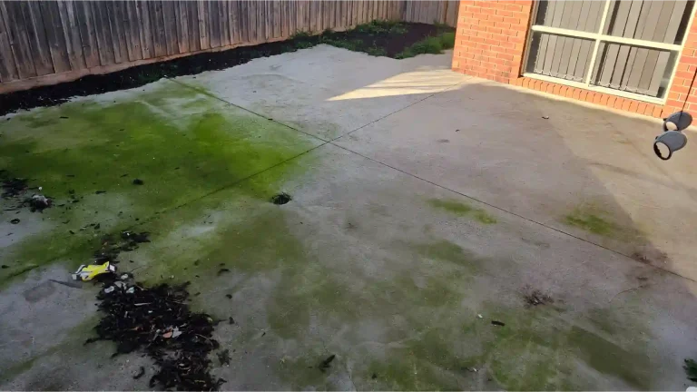 Melbourne Property Preparers before photo of concrete patio in Melbourne with green algae stains scattered debris and weathered surface prior to outdoor cleaning and property presentation